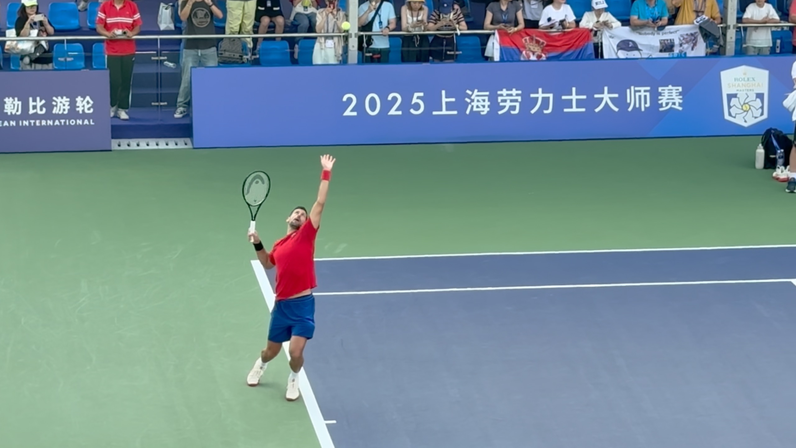 关于日本网球队逆转欧洲网球队，德约科维奇惊艳世界的信息